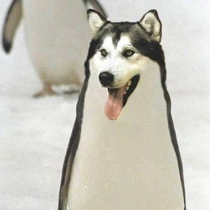 Meet your Posher, Kristin